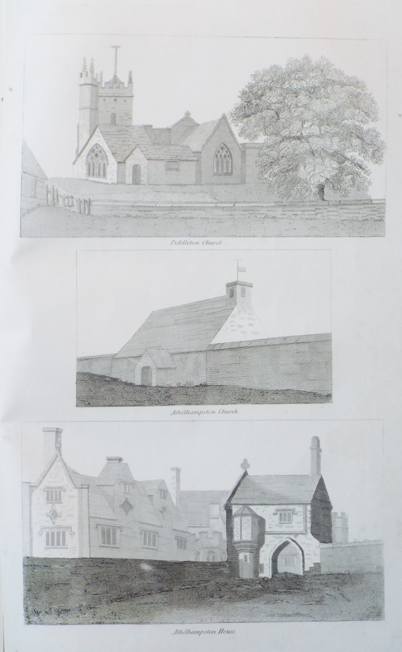 Print - Puddleton Church. Athelhampton Church. Athelhampton House.