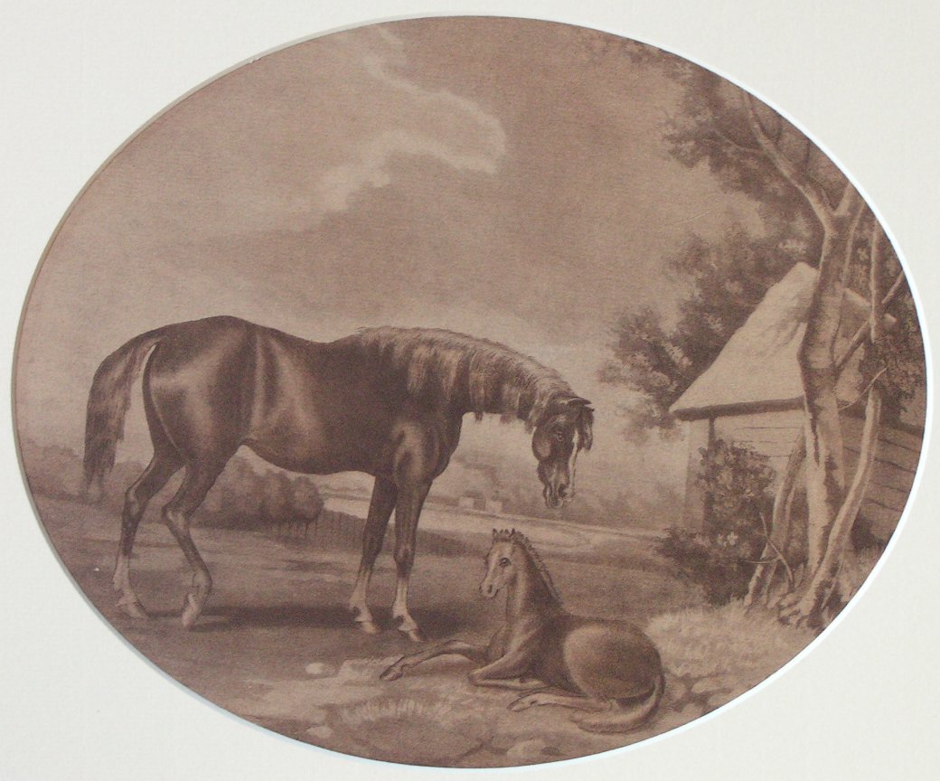 Lithograph - (Life and Death of a Racehorse 1)