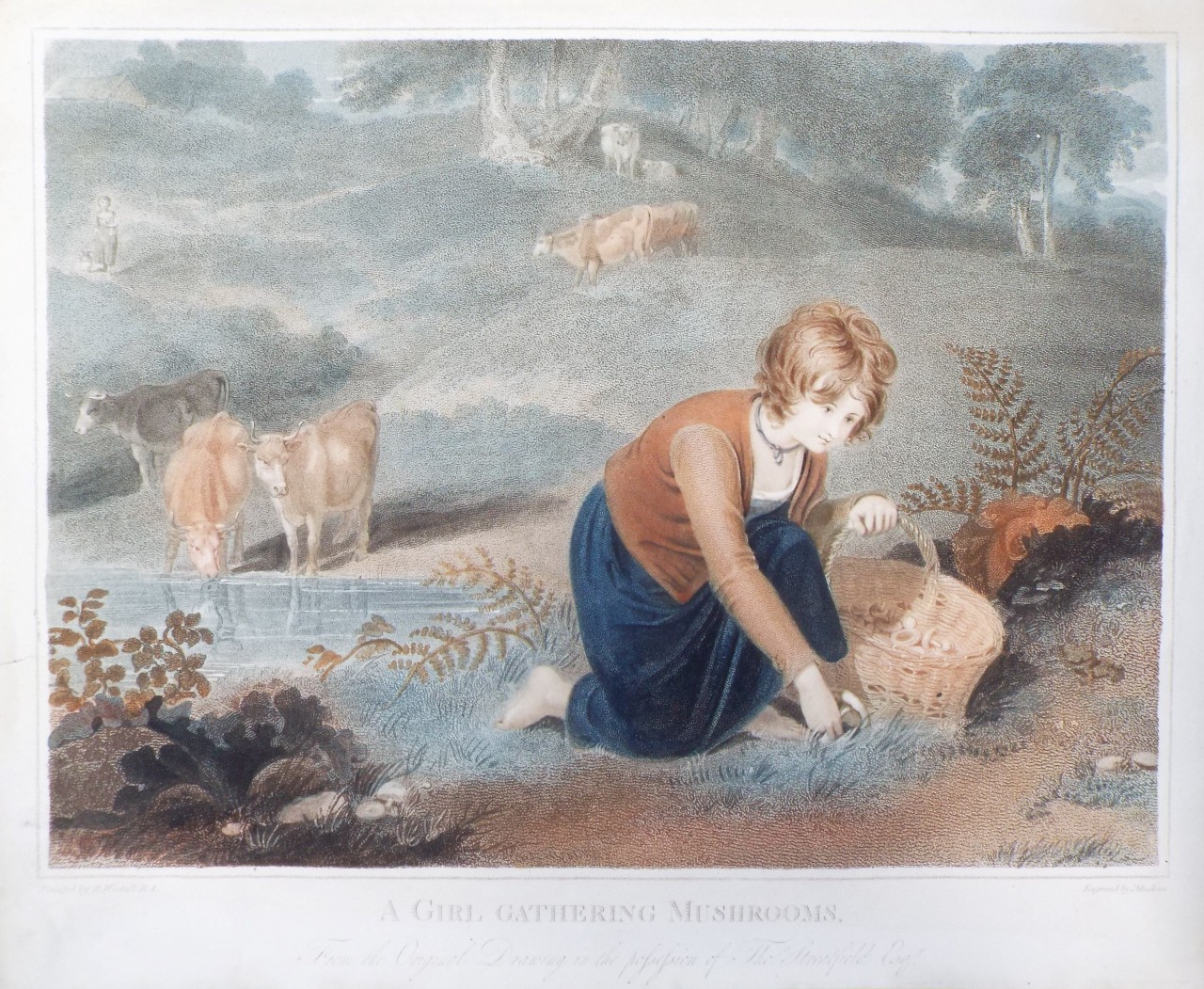 Stipple - A Girl Gathering Mushrooms. From the Original Drawing in the possession of Thos. Streatfield Esqr. - Meadows