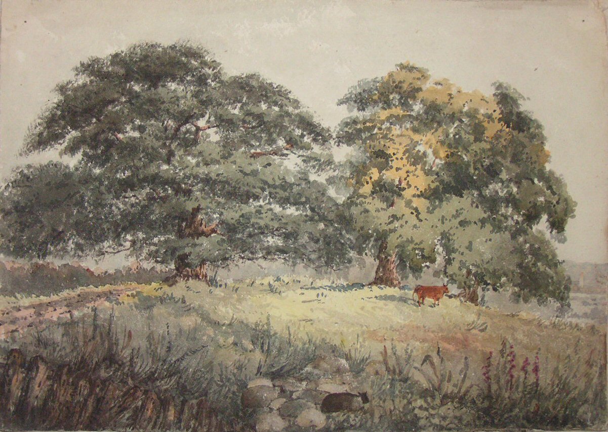 Watercolour - Landscape with two trees and a cow