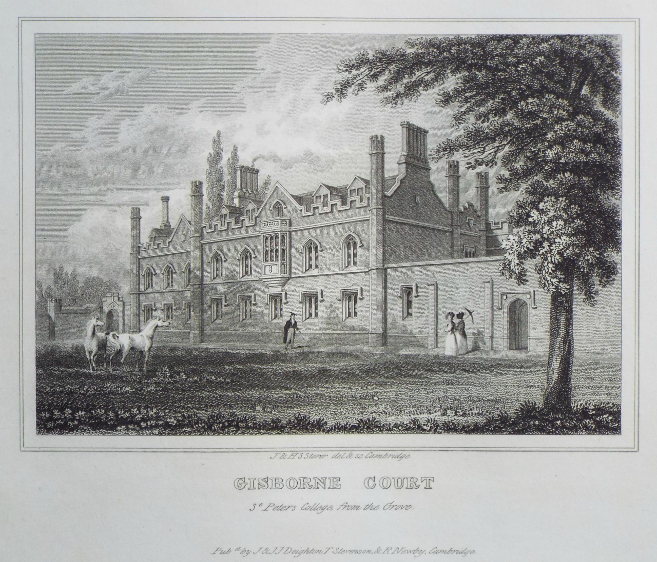 Print - Gisborne Court St. Peter's College, from the Grove. - Storer