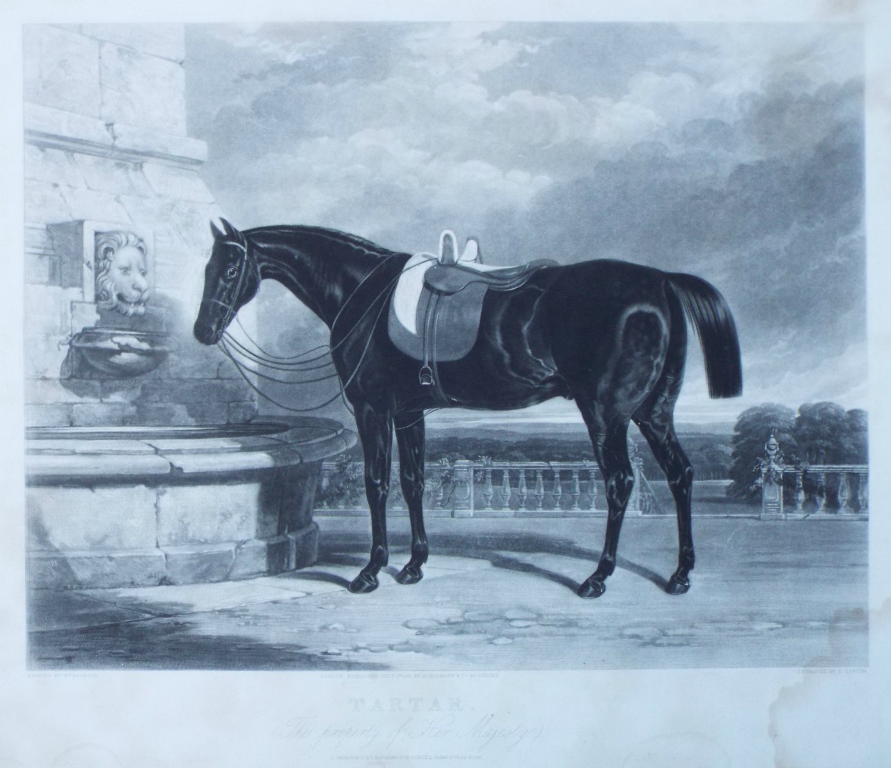 Mezzotint - Tartar. (The Property of Her Majesty) - Lupton