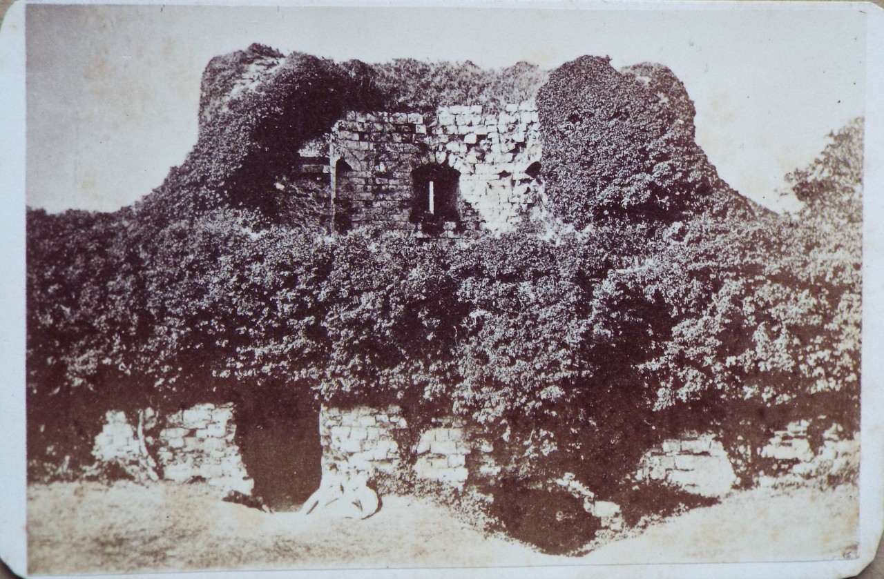 Photograph - Pevensey Castle