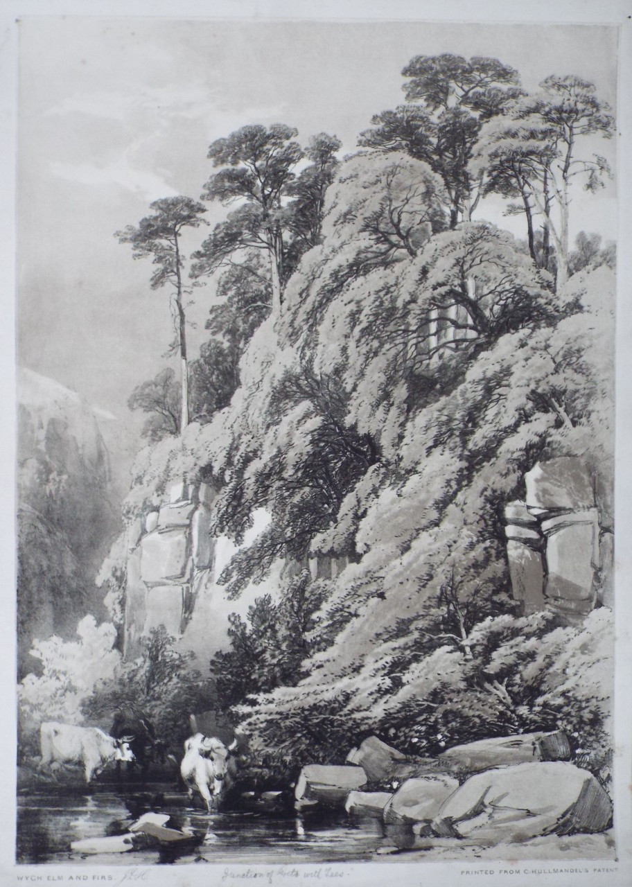 Lithograph - Wych Elm and Firs. Junction of Greta with Tees. - Harding