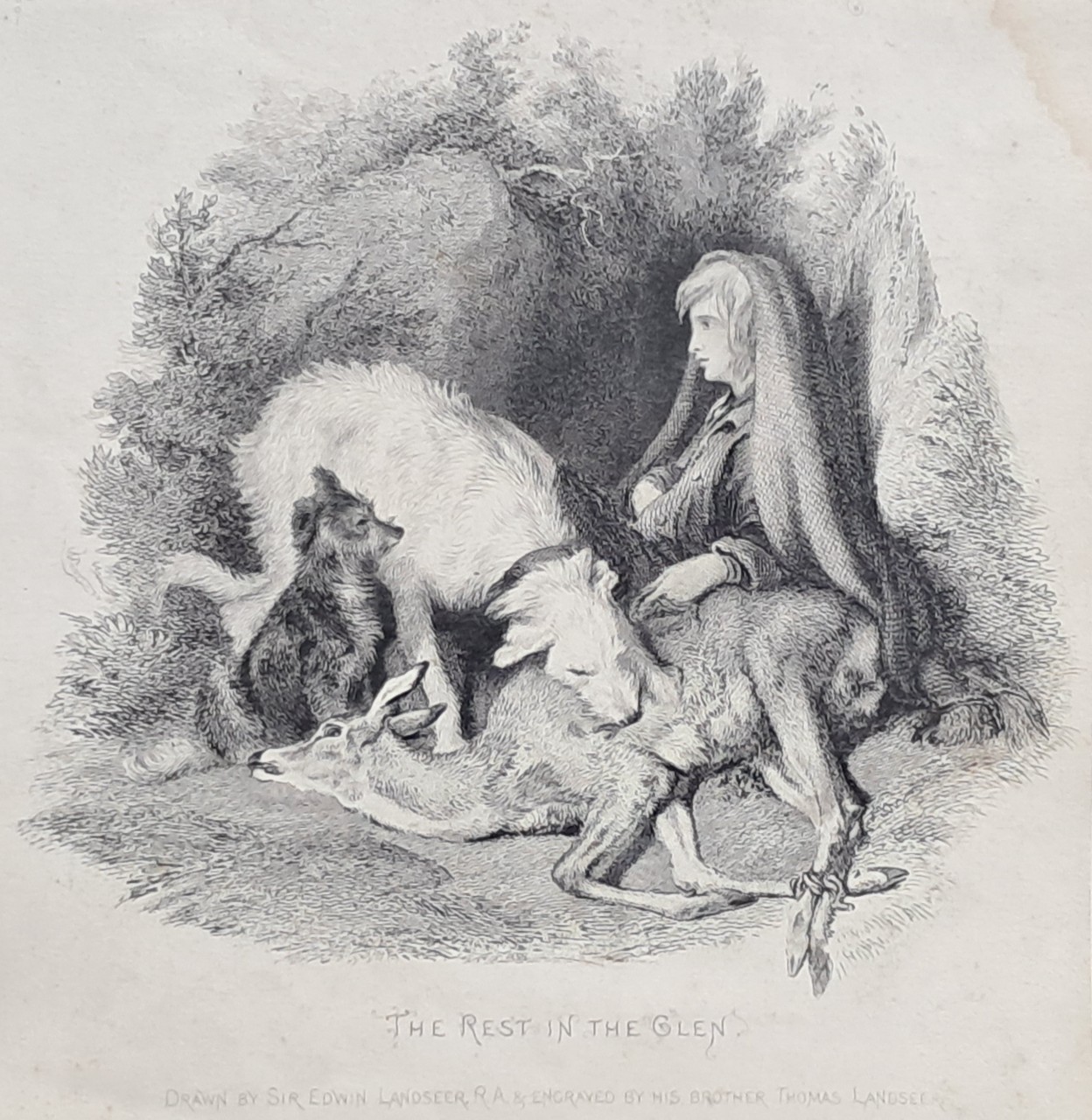 Print - The Rest in the Glen. - Landseer