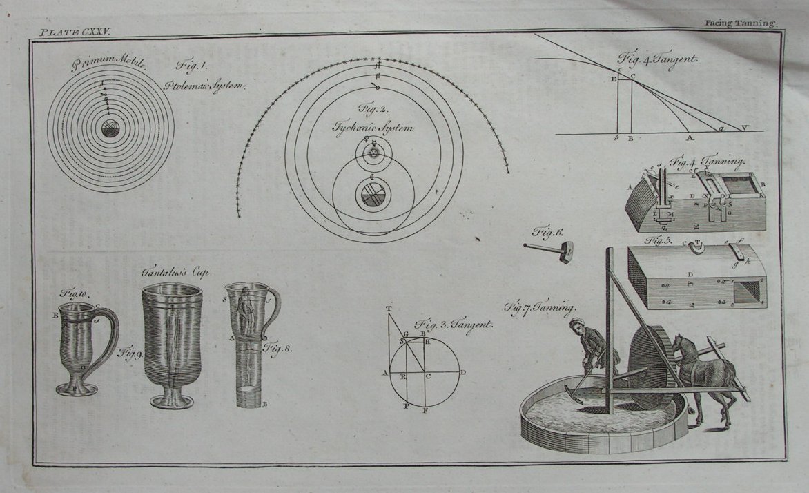 Print - Facing Tanning. Plate CXXV