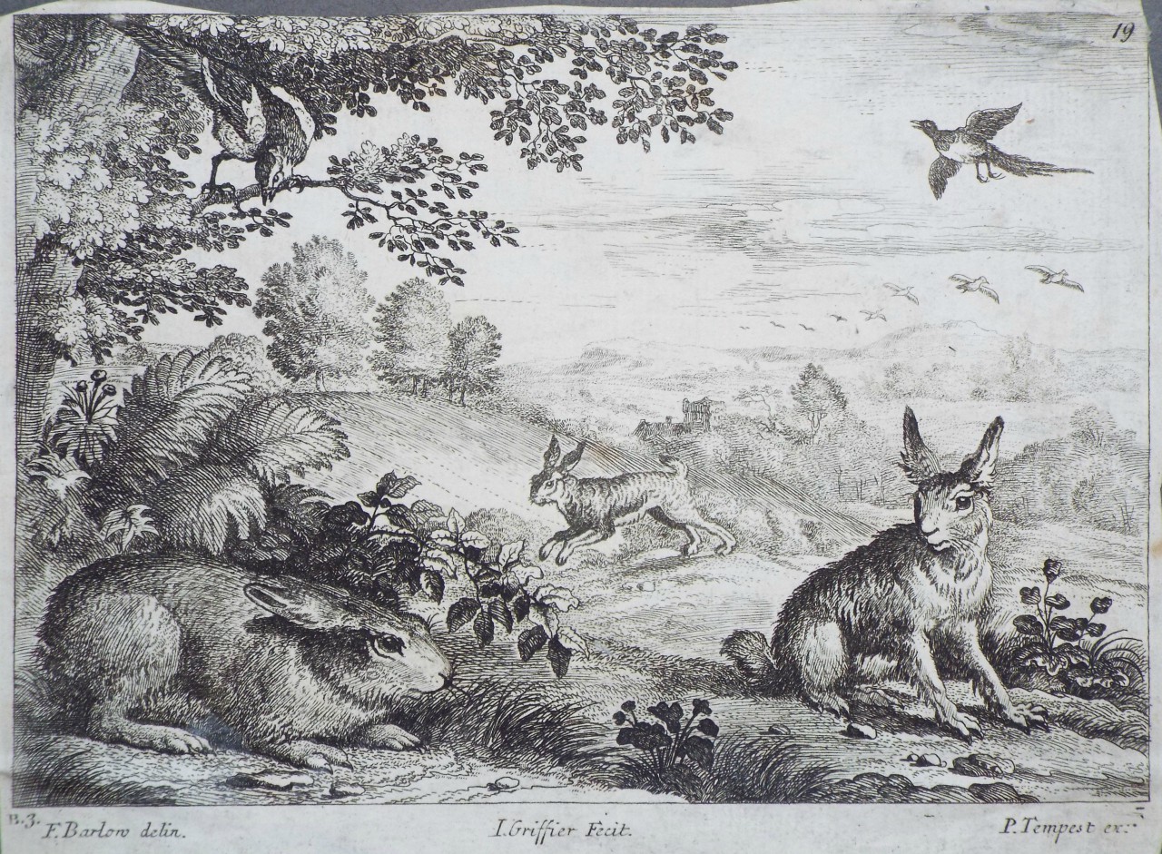 Etching - Three rabbits in a landscape - Griffier