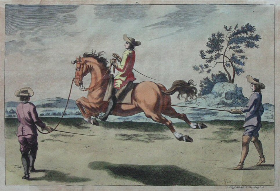 Print - (Dressage) 62 - Schurtz