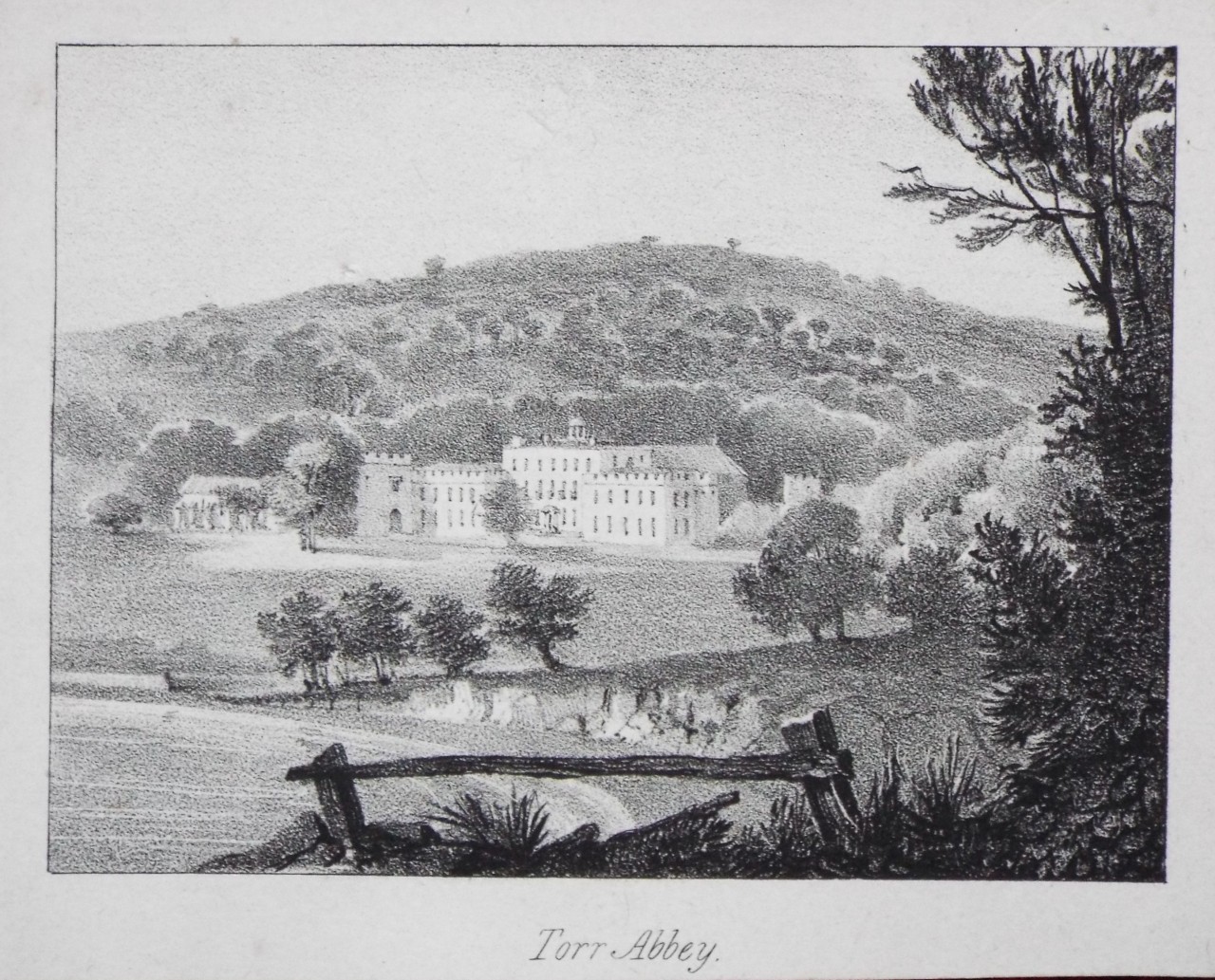 Lithograph - Torr Abbey