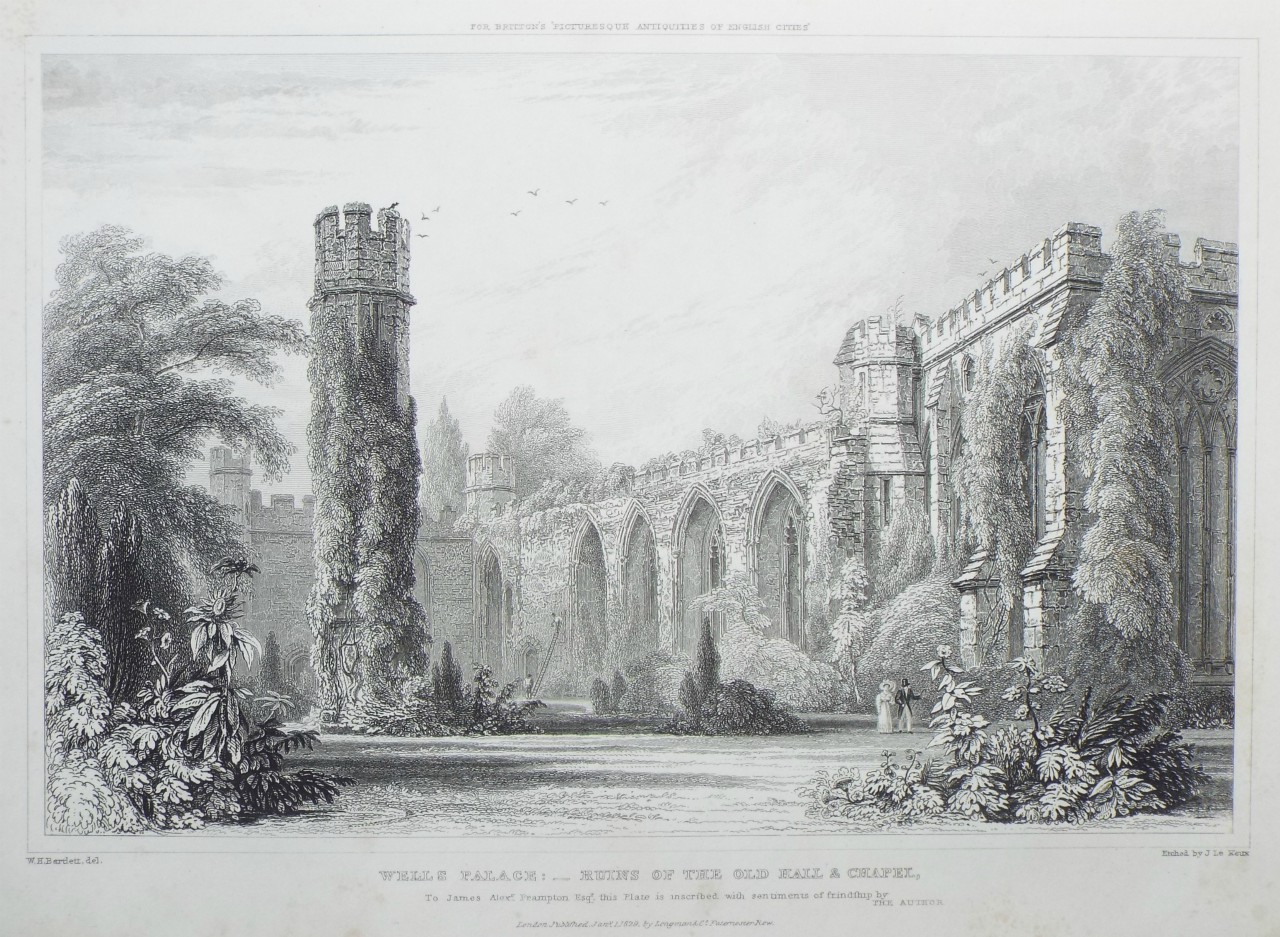 Print - Wells Palace: Ruins of the Old Hall & Chapel. - Le