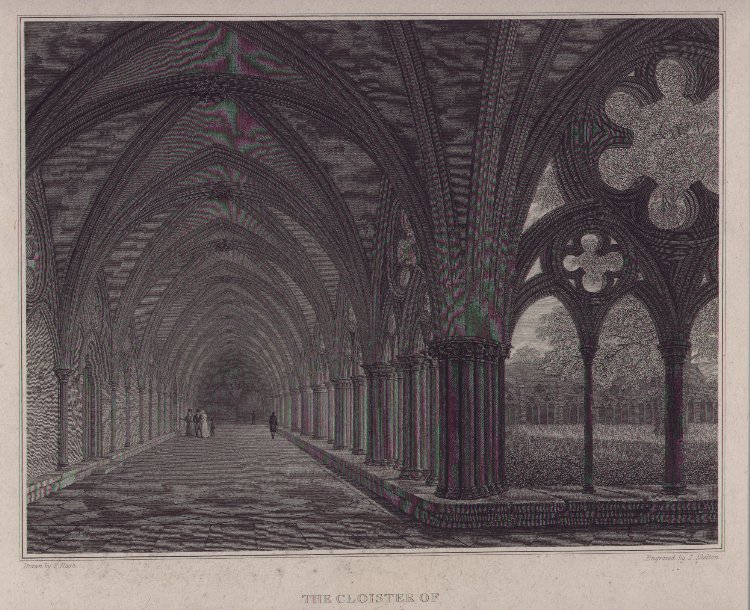 Print - The Cloister of Salisbury Cathedral - Skelton