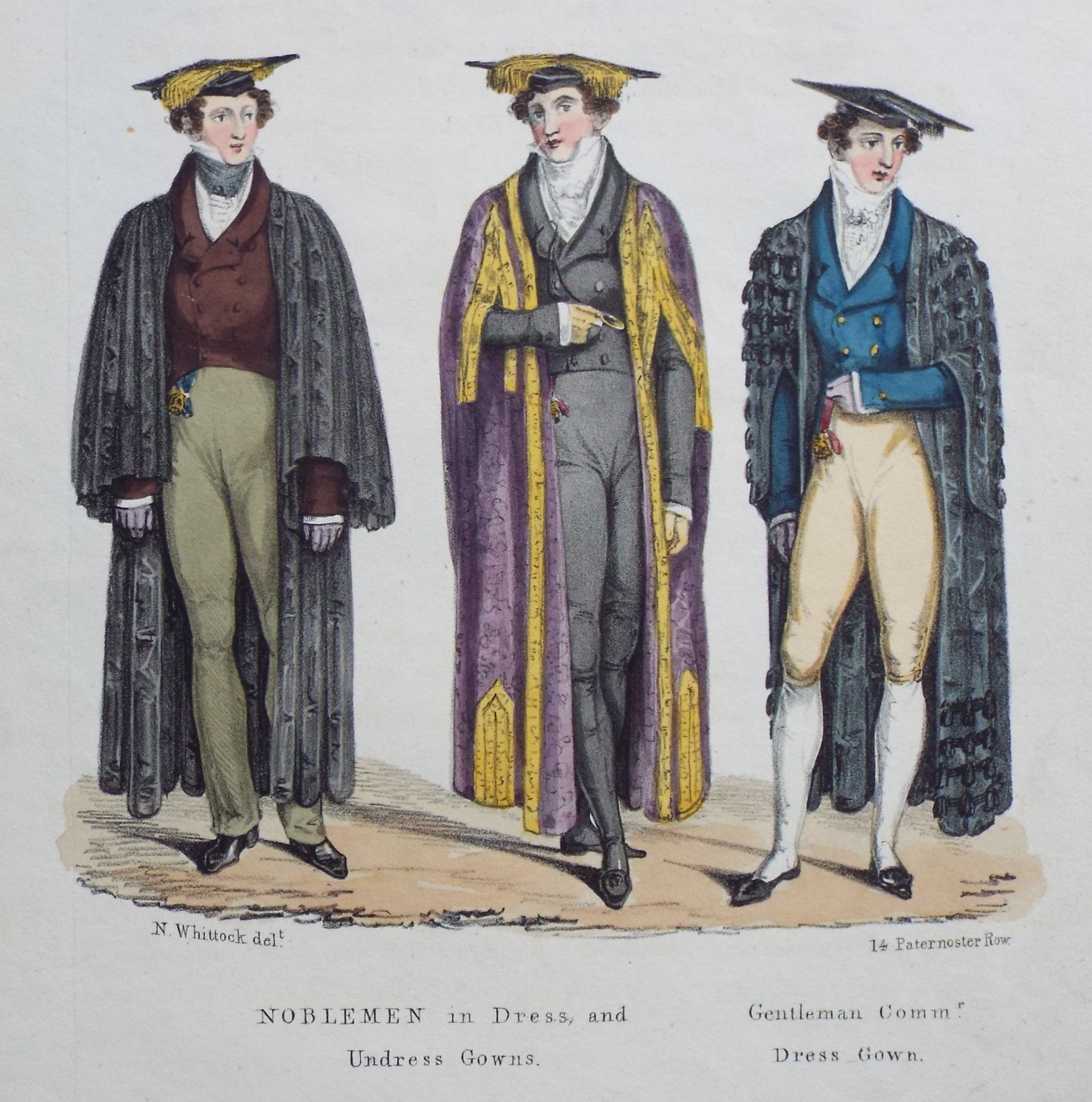 Lithograph - Noblemen in Dress and Undress Gowns. Gentleman Commr. Dress Gown.