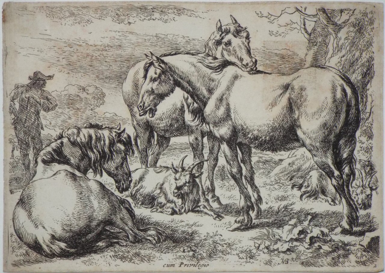 Etching - Group of Horses - Berchem