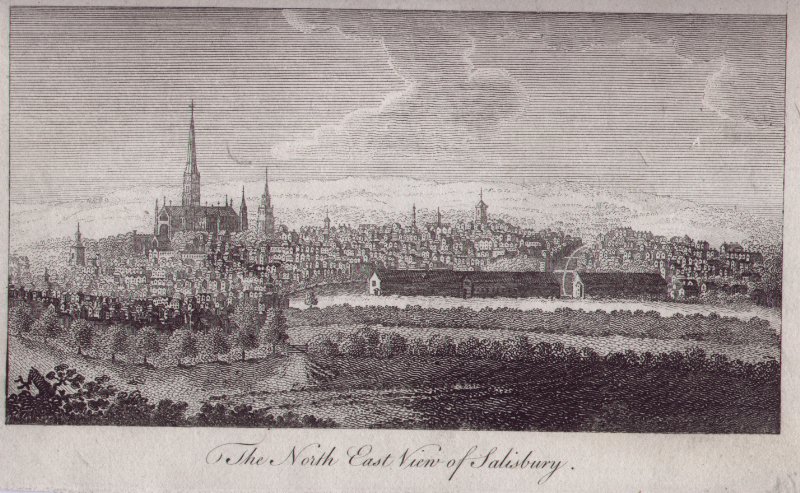 Print - The North East View of Salisbury