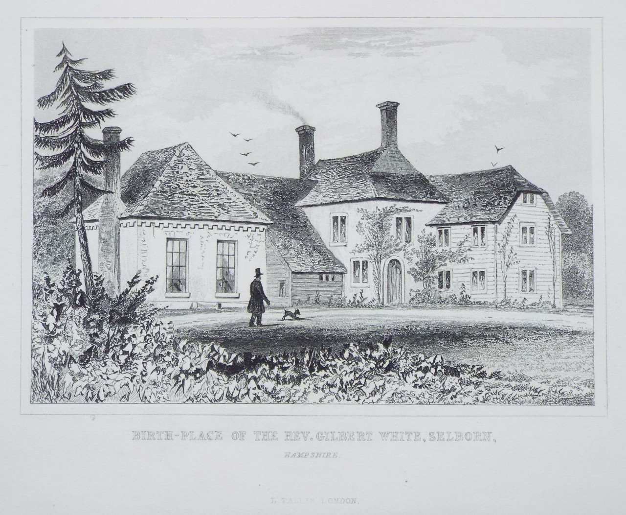 Print - Birth-place of the Rev. Gilbert White, Selborn, Hampshire.