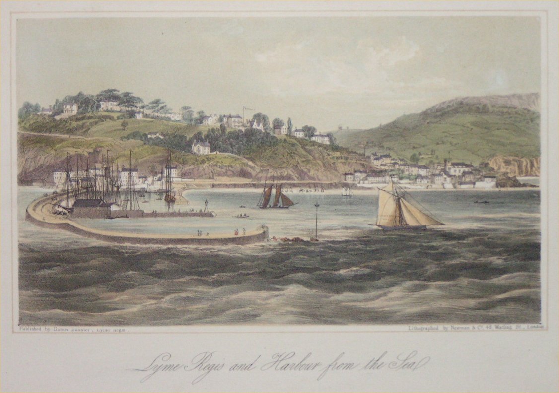 Lithograph - Lyme Regis and Harbour from the Sea - Newman