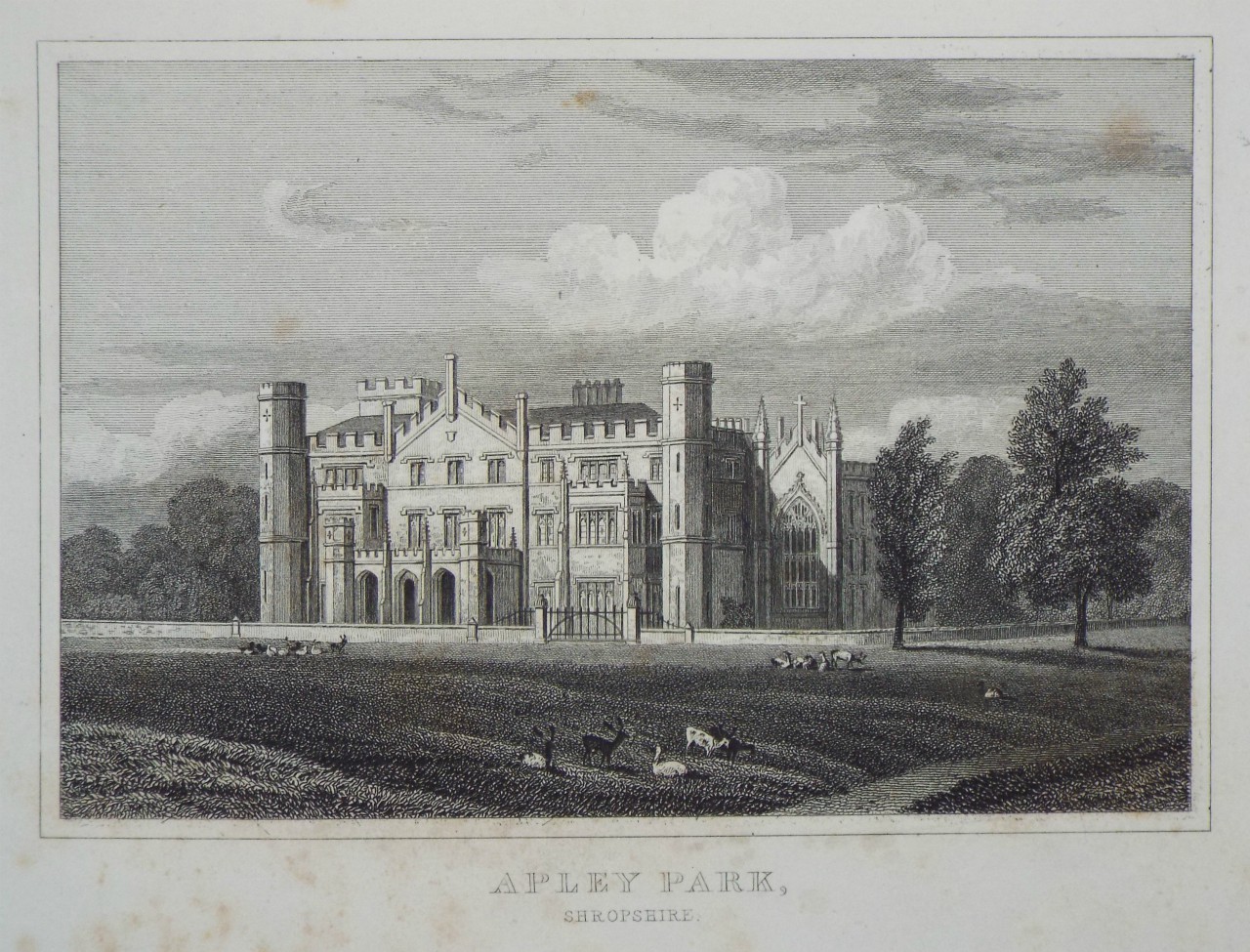 Print - Apley Park, Shropshire. - Radclyffe