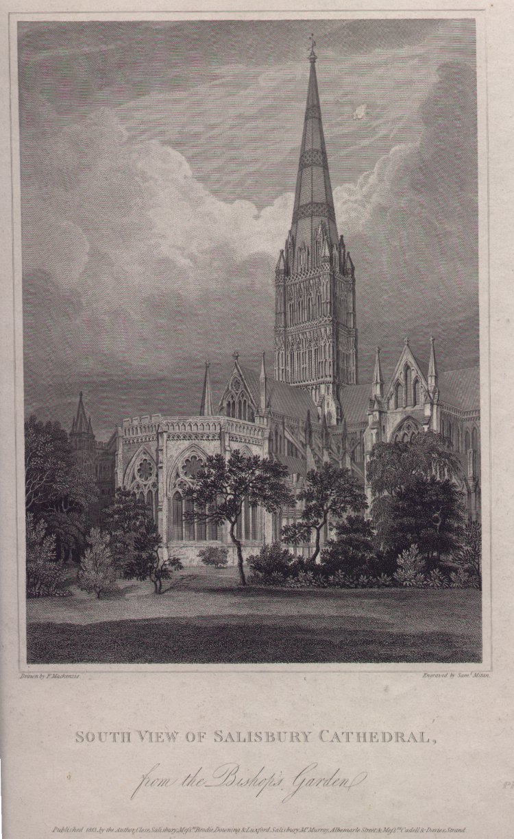 Print - South View of Salisbury Cathedral, from the Bishop's Palace - Mitan