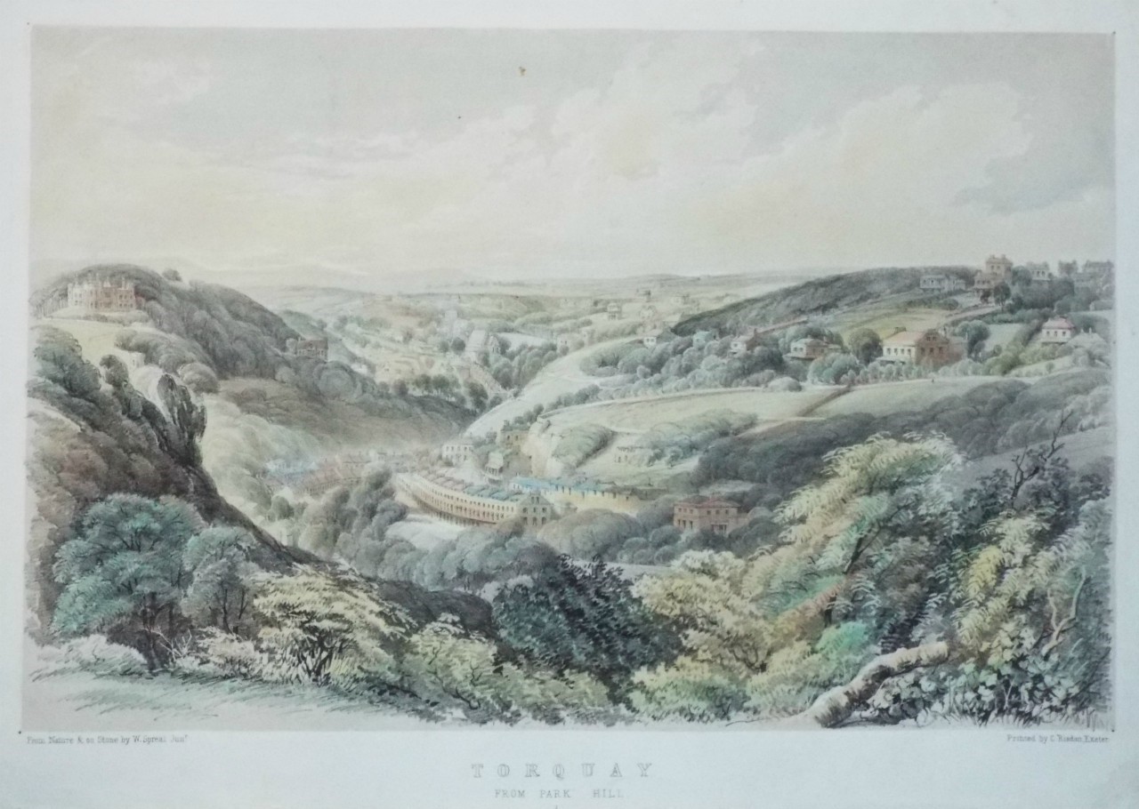 Lithograph - Torquay from Park Hill. - Spreat