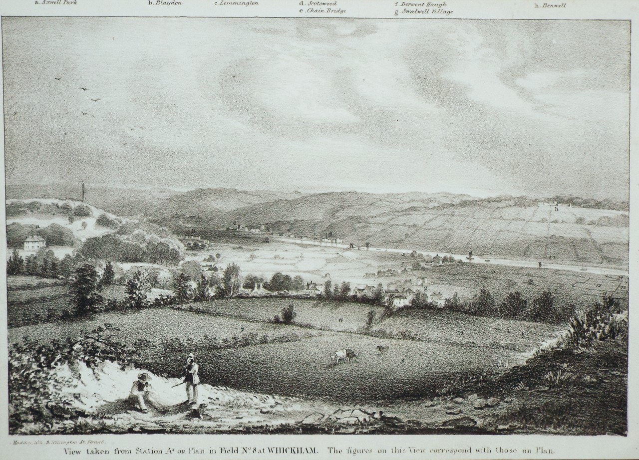 Lithograph - View taken from Station A on Plan in Field No. 8 at Whickham. The figures on this View correspond with those on the plan. - Madeley