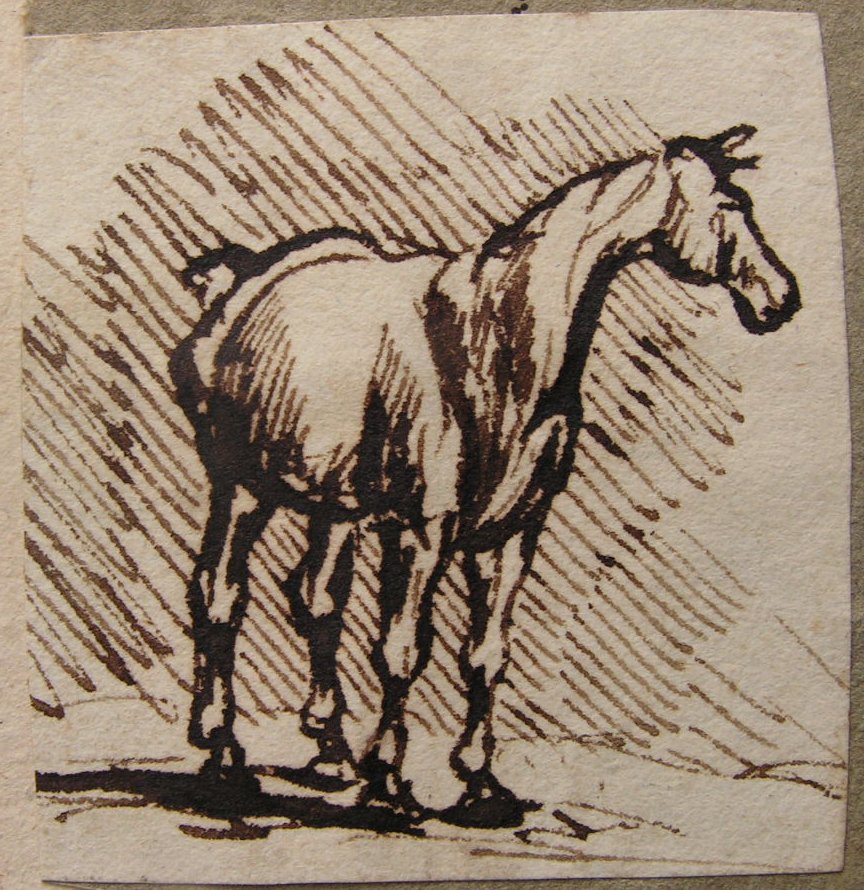 Pen & Ink - (Horse)