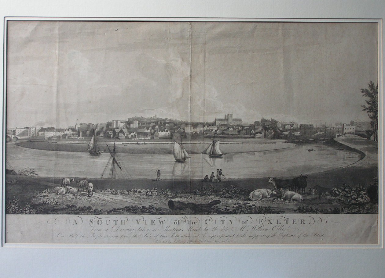 Aquatint - A South View of the City of Exeter - Pollard