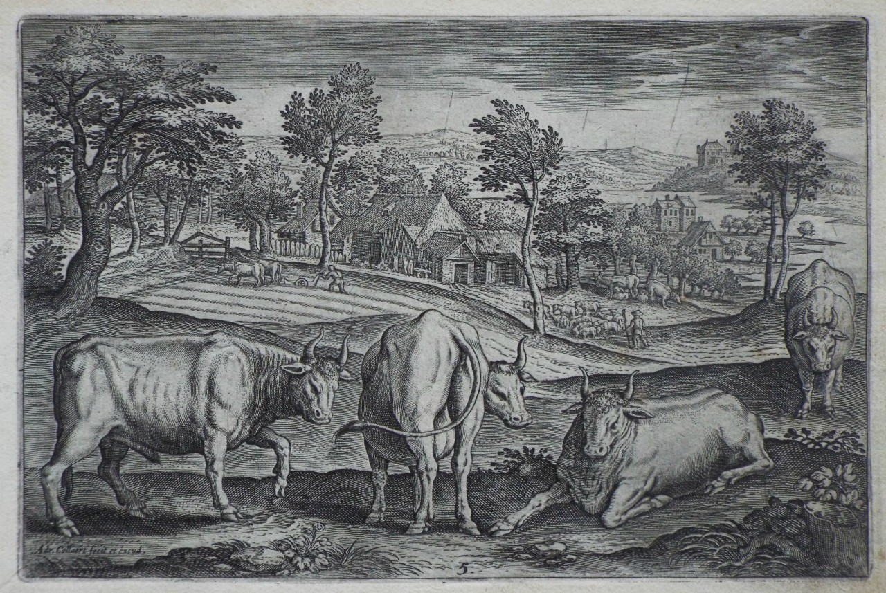 Print - Plate 5: A bull and three cows - Collaert