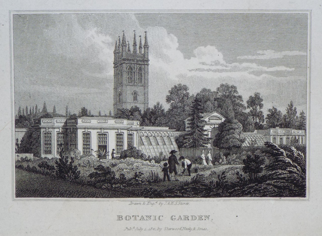 Print - Botanic Garden. - Storer