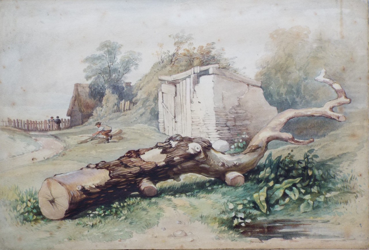 Watercolour - Study of a fallen tree trunk