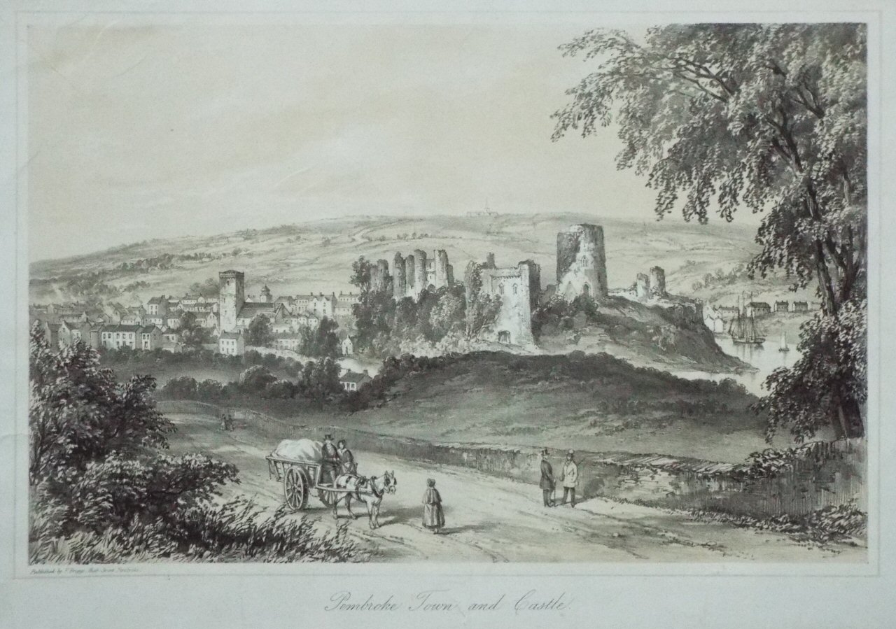 Lithograph - Pembroke Town and Castle. - Spreat