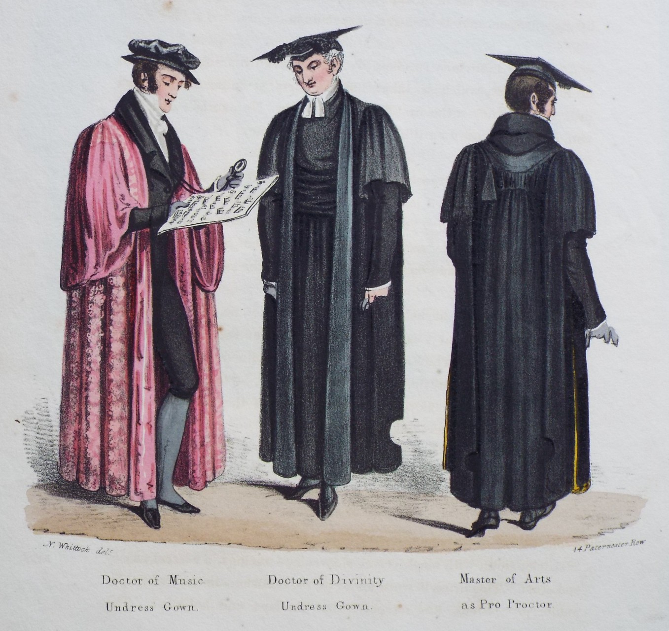Lithograph - Doctor of Music Undress Gown. Doctor of Divinity Undress Gown. Master of Arts as Pro Proctor.