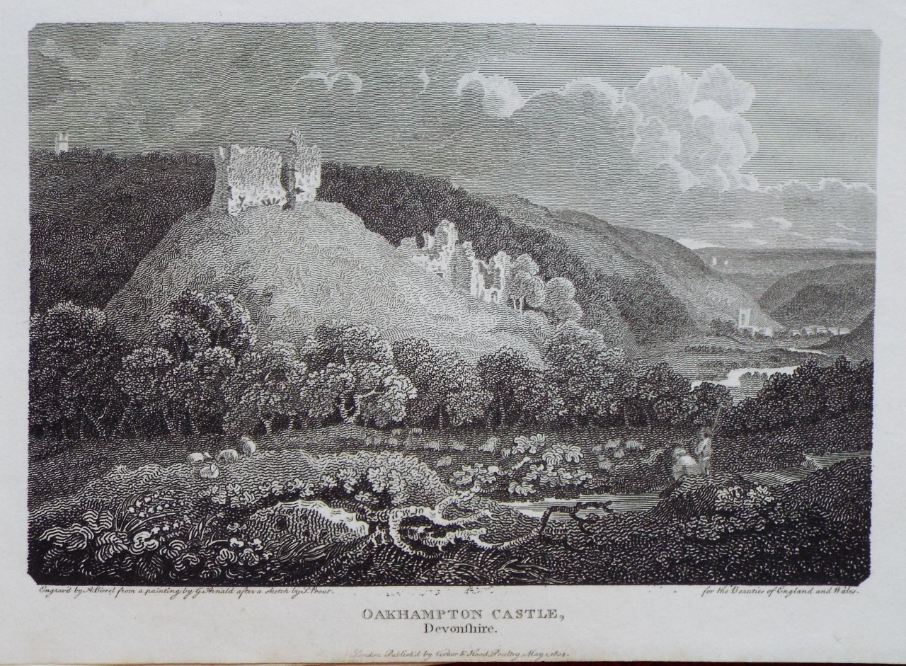 Print - Oakhampton Castle, Devonshire. - Birrel