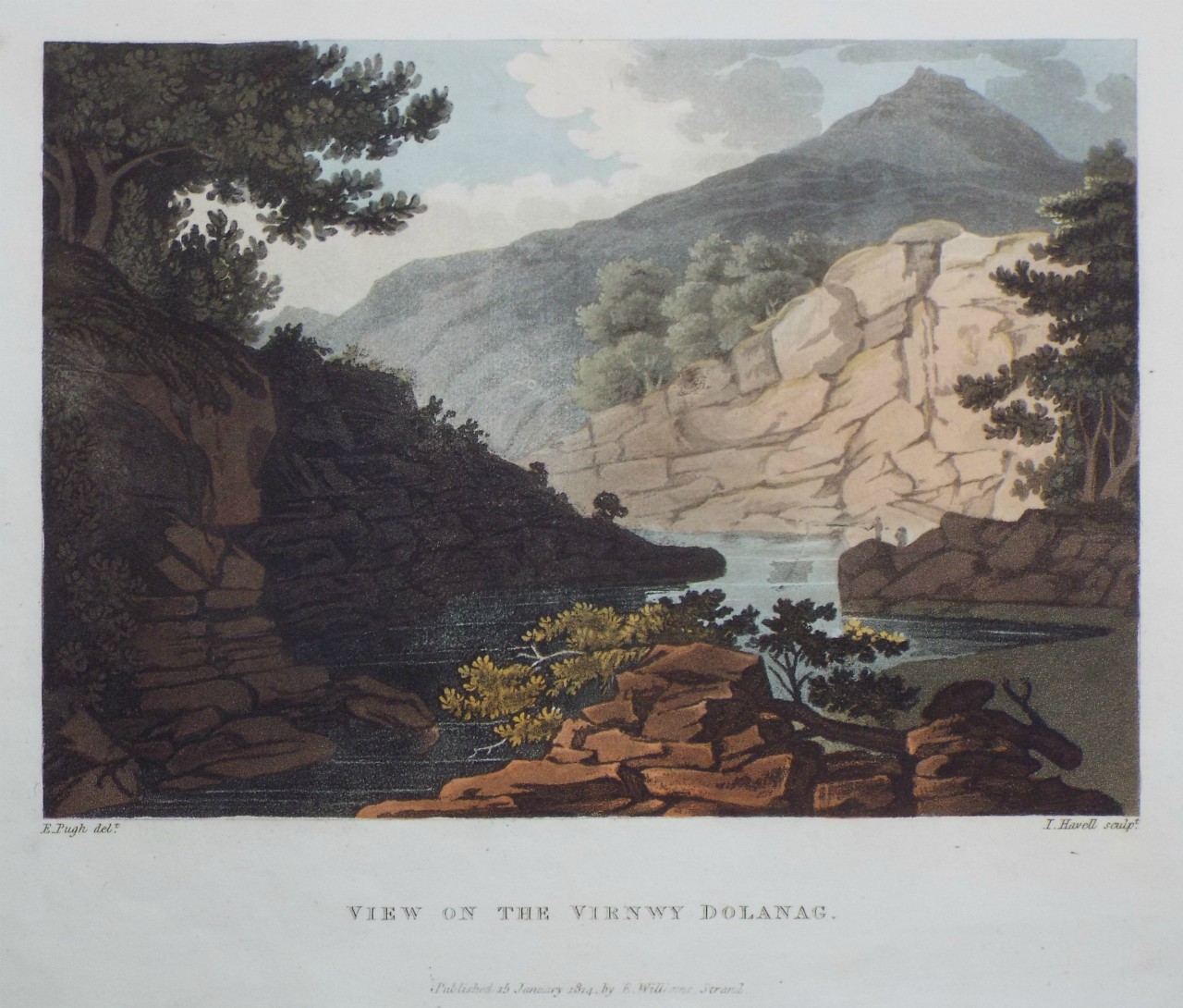 Aquatint - View on the Virnwy Dolanag. - Havell