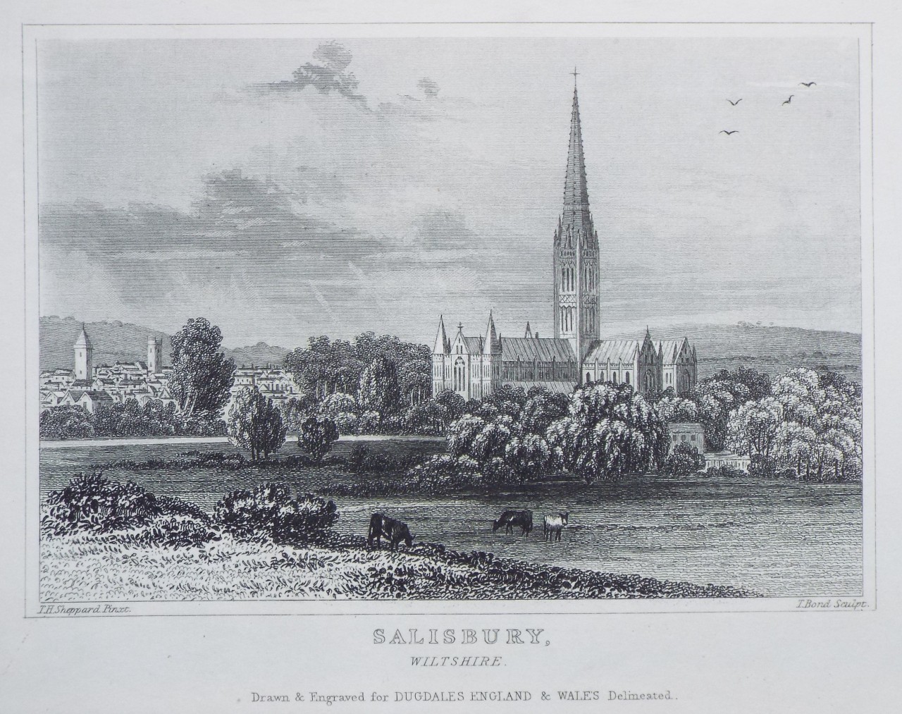 Print - Salisbury, Wiltshire. - Bond