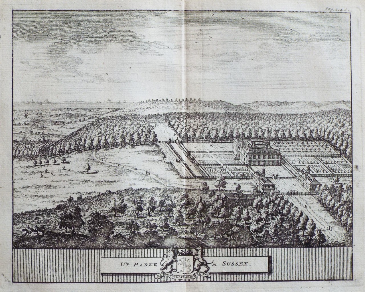 Print - Up Parke in of Sussex.