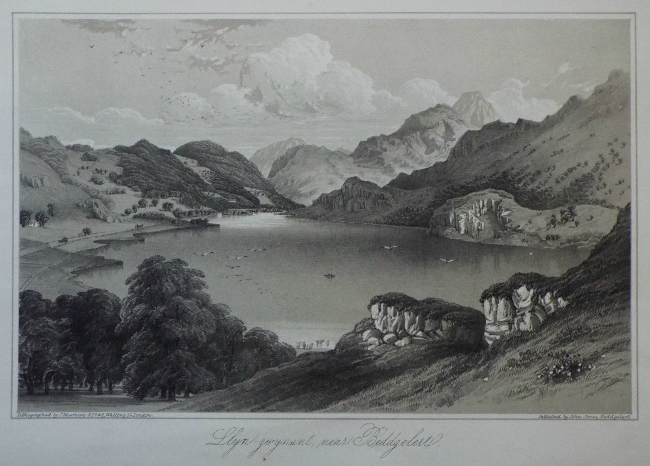 Lithograph - Llyn-gwynant, near Beddgelert. - Newman