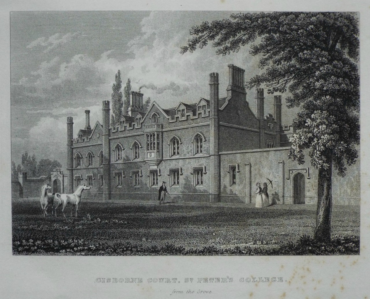 Print - Gisborne Court, St. Peter's College, from the Grove.