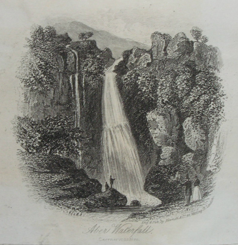 Steel Vignette - Aber Waterfall, Caernarvonshire. - Newman