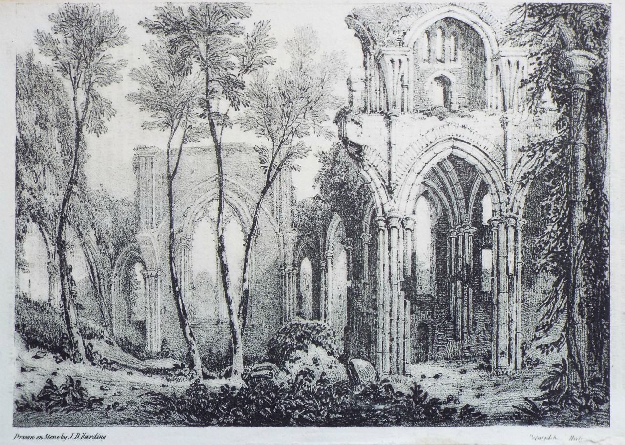 Lithograph - (Netley Abbey) - Harding