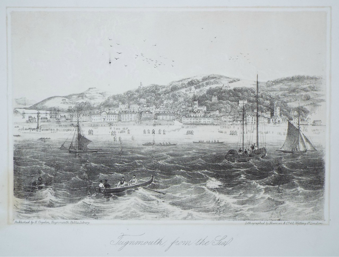 Lithograph - Teignmouth, from the Sea. - Newman