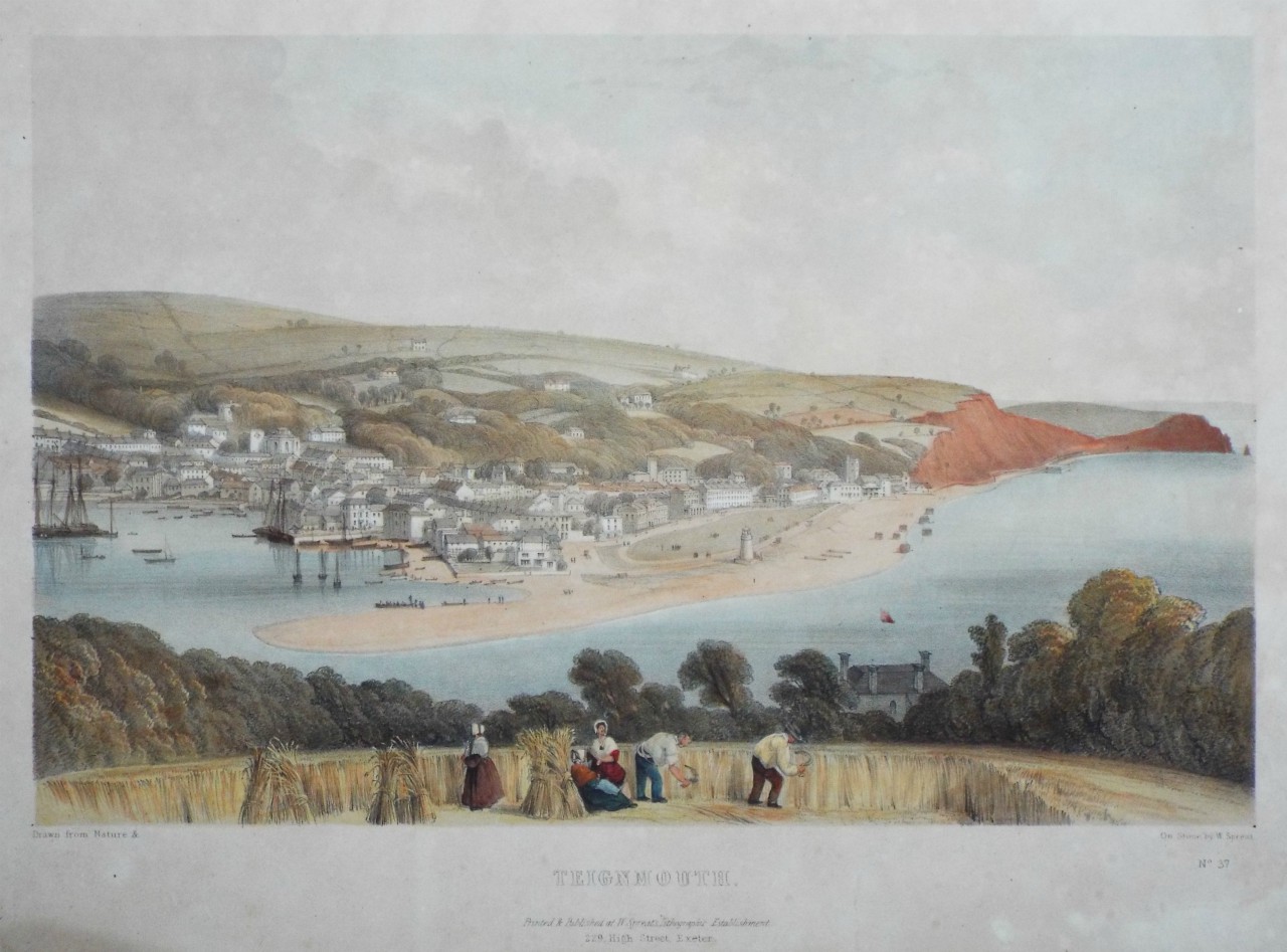 Lithograph - Teignmouth. - Spreat