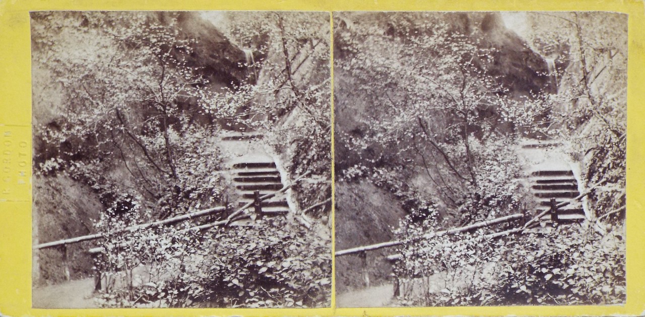 Photograph - The Chine. Shanklin, Isle of Wight.