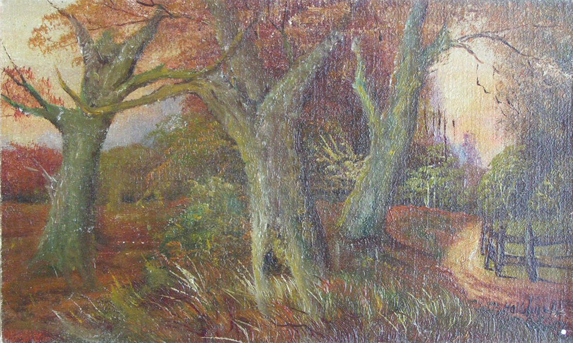 Oil painting - (Woodland scene)