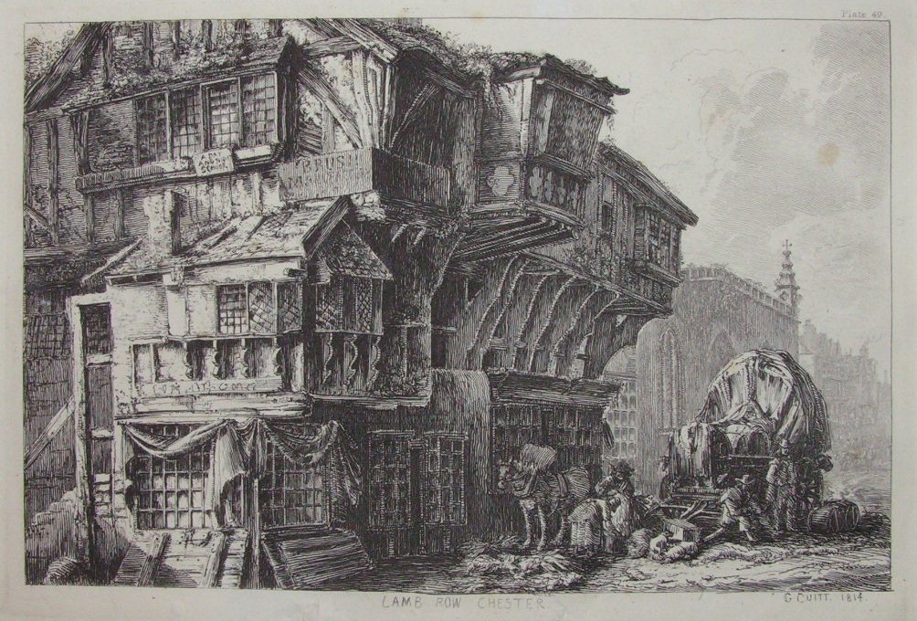 Etching - Lamb Row Chester - Cuitt