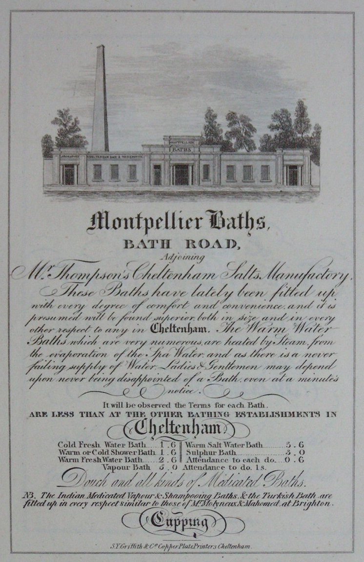 Print - Montpellier Baths, Bath Road