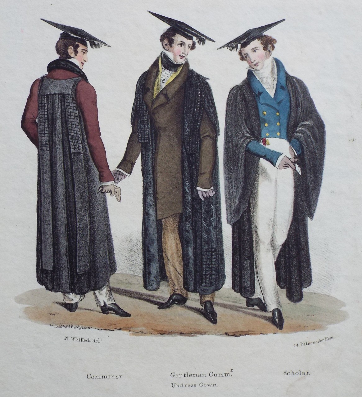 Lithograph - Commoner. Gentleman Commr. Undress Gown. Scholar.