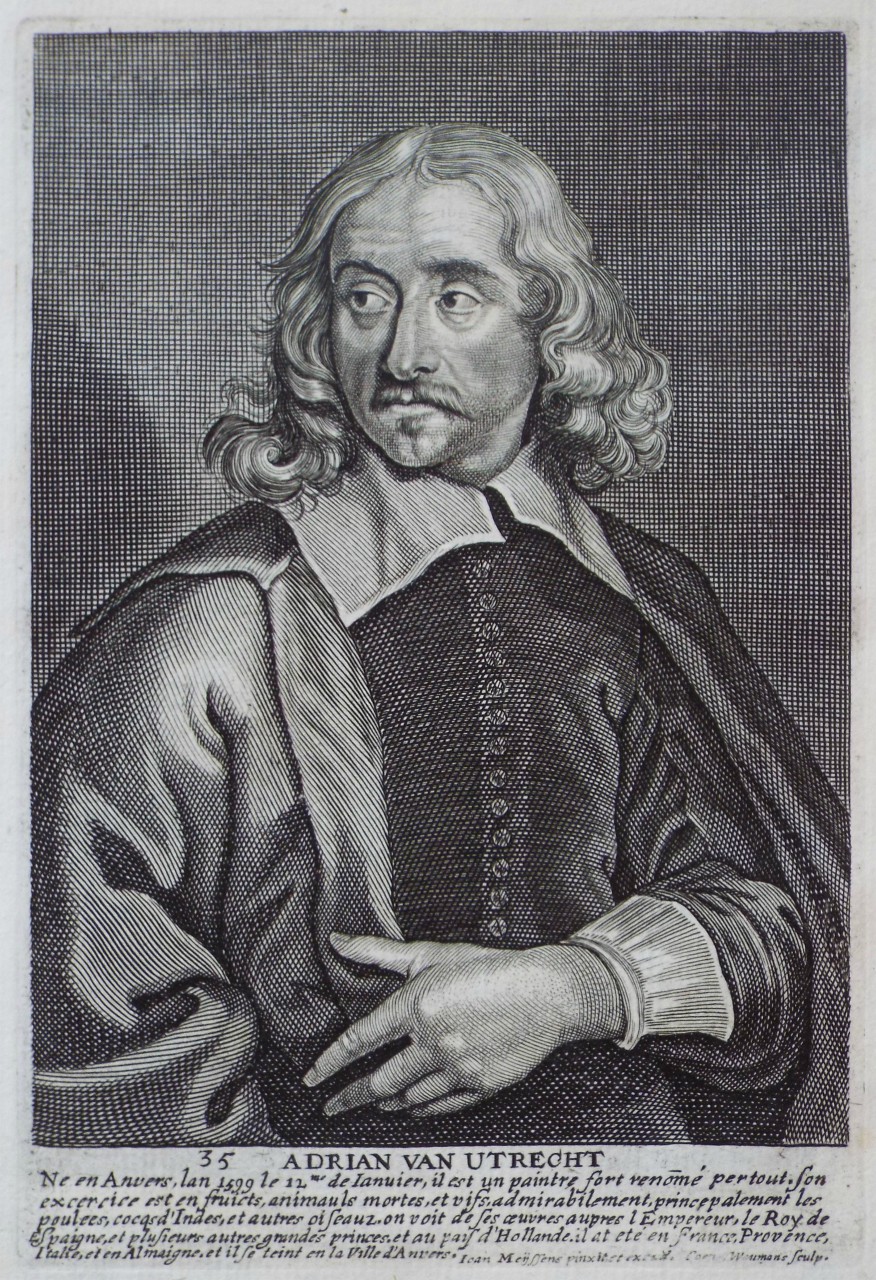 Print - Adrian van Utrecht - Woumans