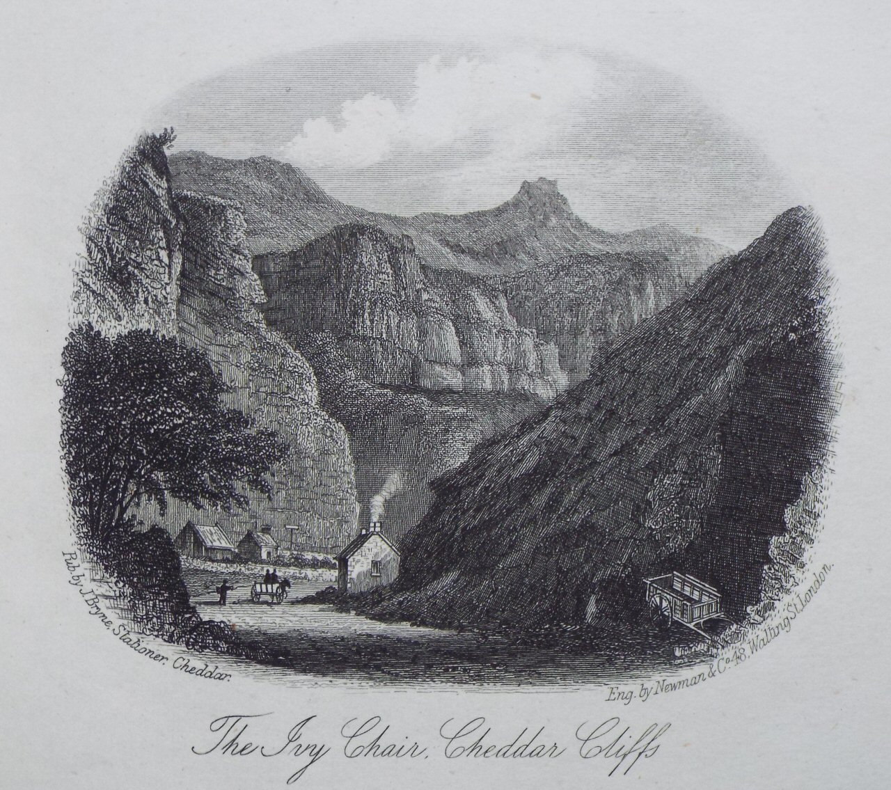 Steel Vignette - The Ivy Chair, Cheddar Cliffs - Newman