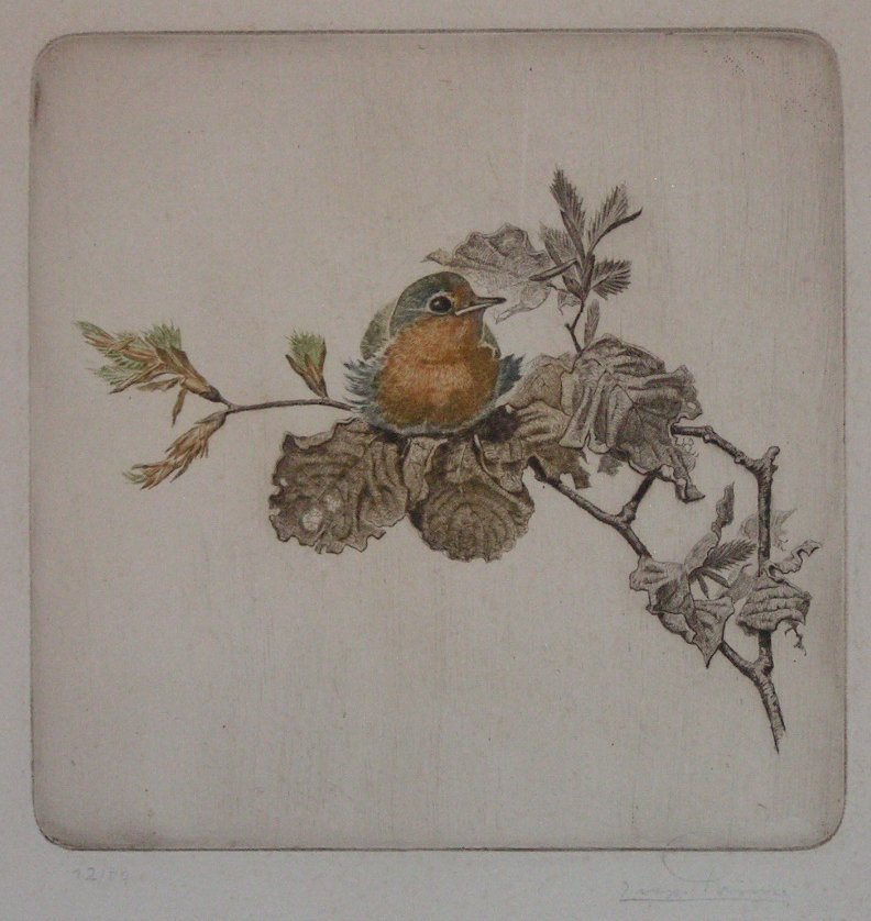 Etching - (Robin on a branch)
