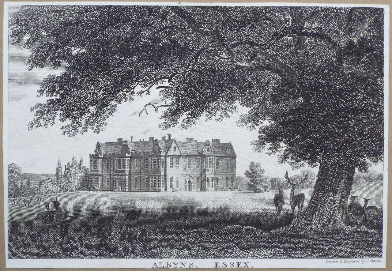 Print - Albyns, Sussex. - Rawle